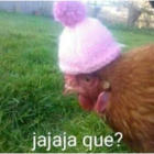 jajaja que?