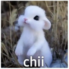 chii
