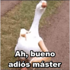 Ah, bueno adiós máster