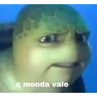 Q monda vale