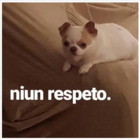 niun respeto