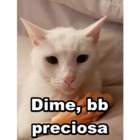 Dime, bb preciosa