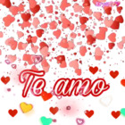 Te amor