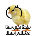 La que has liao pollito