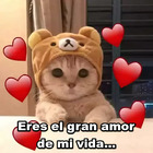 Eres el gran amor de mi vida...