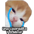 Una llooradita y a mimir