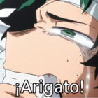 ¡Arigato!