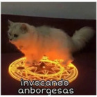 Invocando anborgesas