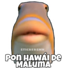 Pon Hawái de Maluma