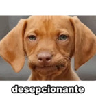Desepcionante