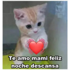 Te amo mami feliz noche descansa