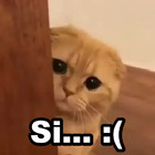 Si... :(