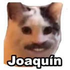 Joaquín