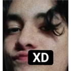 XD