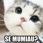 SE MUMIAU?