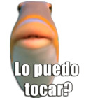 Lo puedo tocar?