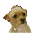 Hijole