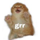 Grr
