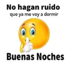 No hagan ruido que ya me voy a dormir Buenas Noches