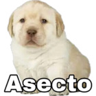 Asecto