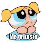 Me gritaste