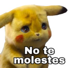 No te molestes