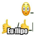 Eu flipo