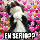 EN SERIO??