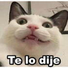 Te lo dije