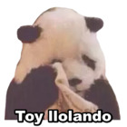 Toy llolando