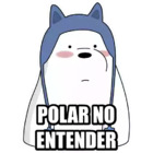 POLAR NO ENTENDER