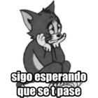 Sigo esperando que se t pase