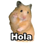 Hola