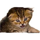 Sticker #131236