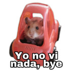 Yo no vi nada, bye