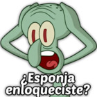 ¿Esponja enloqueciste?