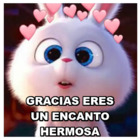 Gracias eres un encanto hermosa