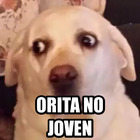 Orita no joven