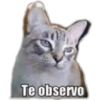 Te observo