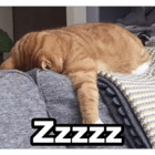 Zzzzz