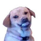 Sticker #843370