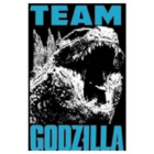 TEAM GODZILLA