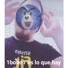 1bobo1 es lo que hay