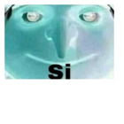 Si