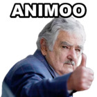 ANIMOO