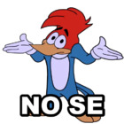 NO SE