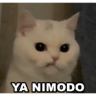 YA NIMODO