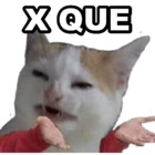X QUE