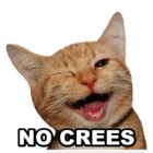NO CREES