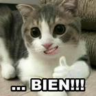 ... BIEN!!!